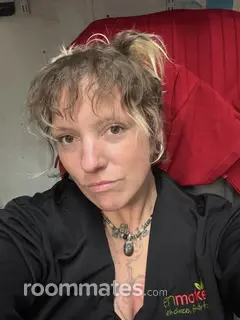 Roommate looking Hendersonville, NC, $400