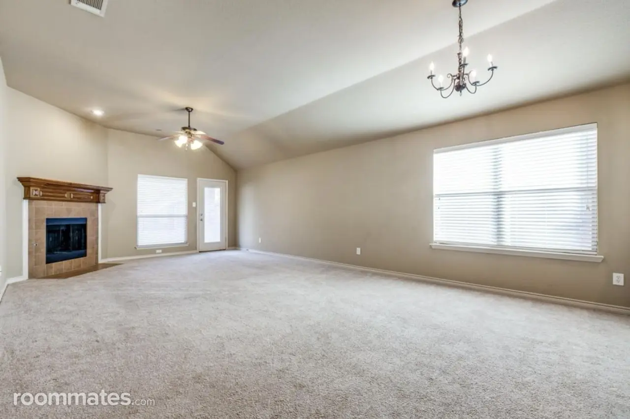 Profile photo 2 of 13