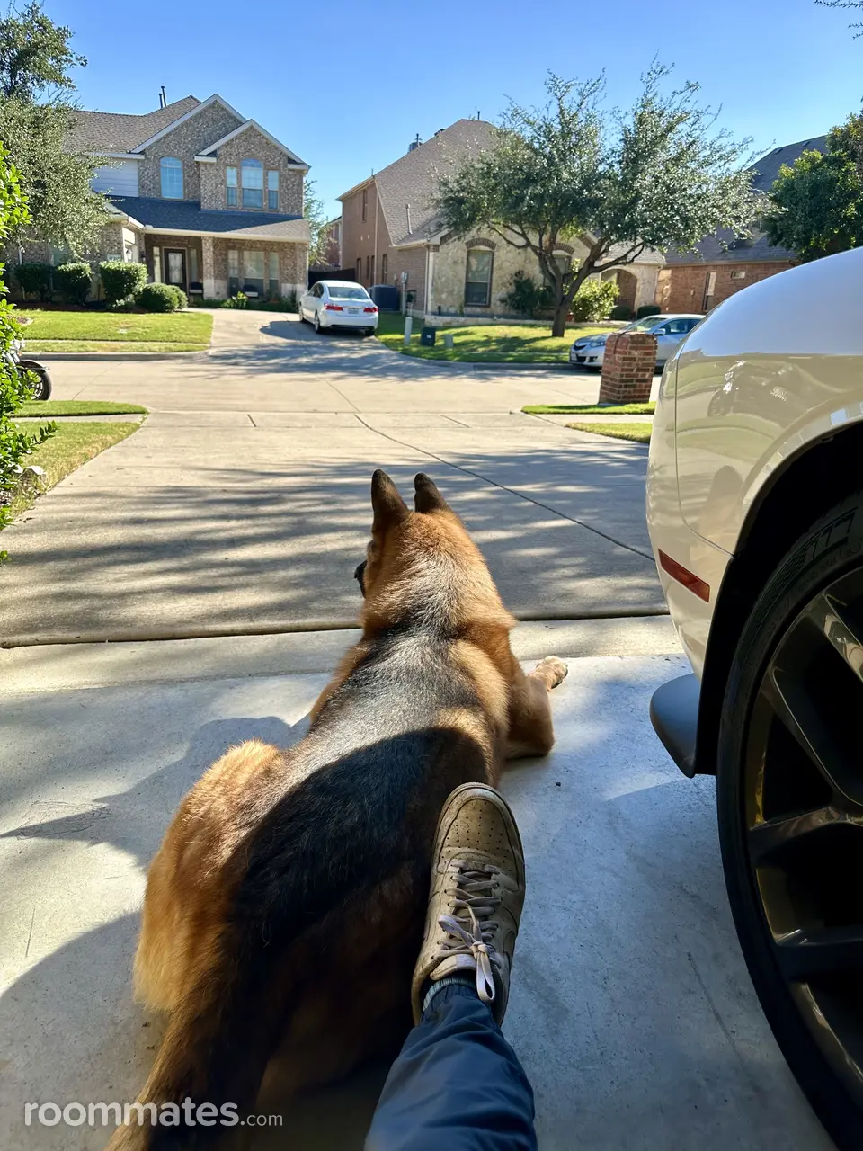 Profile photo 11 of 13