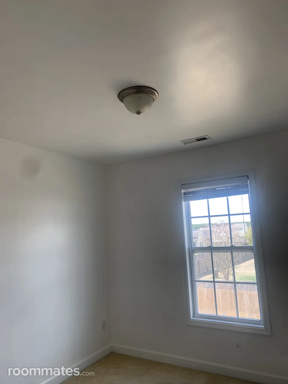 Profile photo 1 of 2