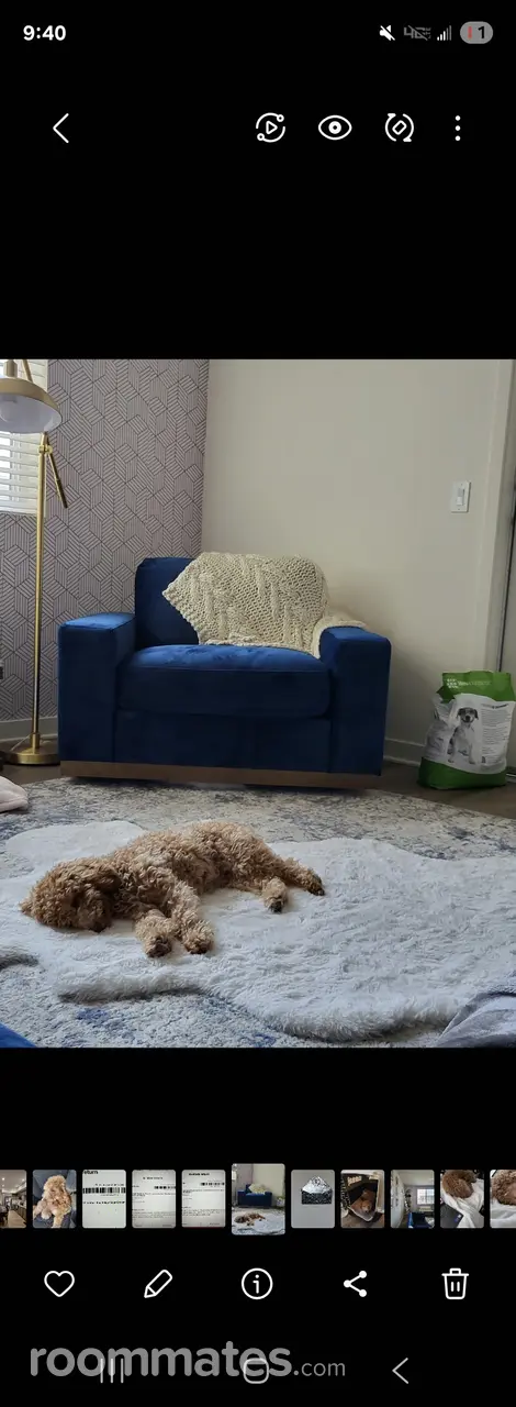 Profile photo 3 of 4