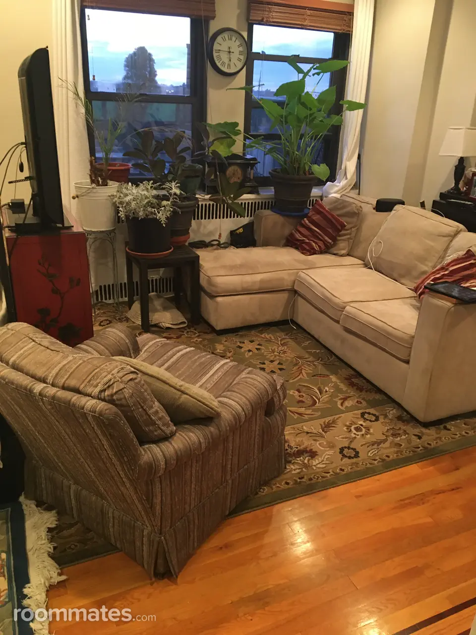 Profile photo 2 of 8