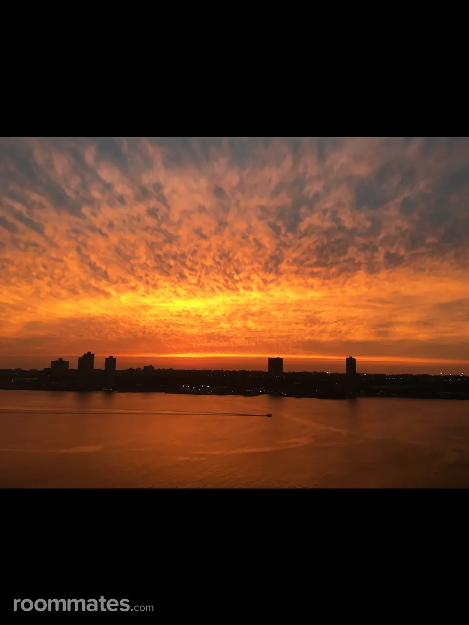 Profile photo 7 of 8