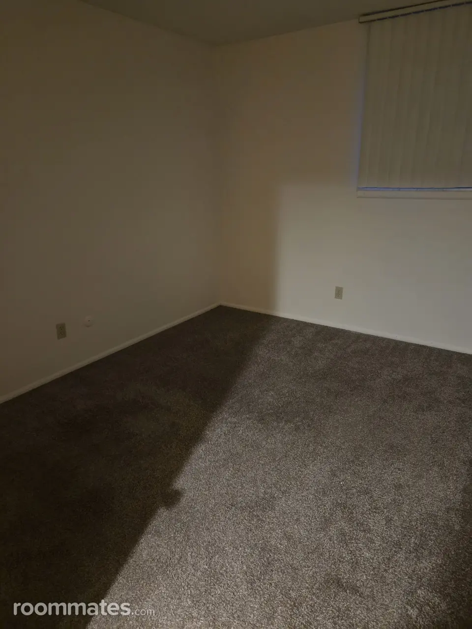 Profile photo 1 of 3