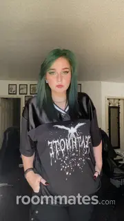 Roommate looking Troy, MI, $500