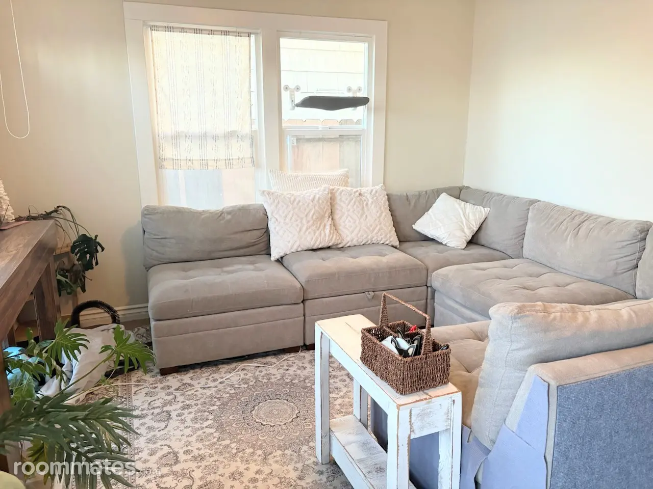 Profile photo 6 of 9