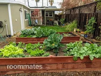 Room for rent in San Diego, CA $2000, house