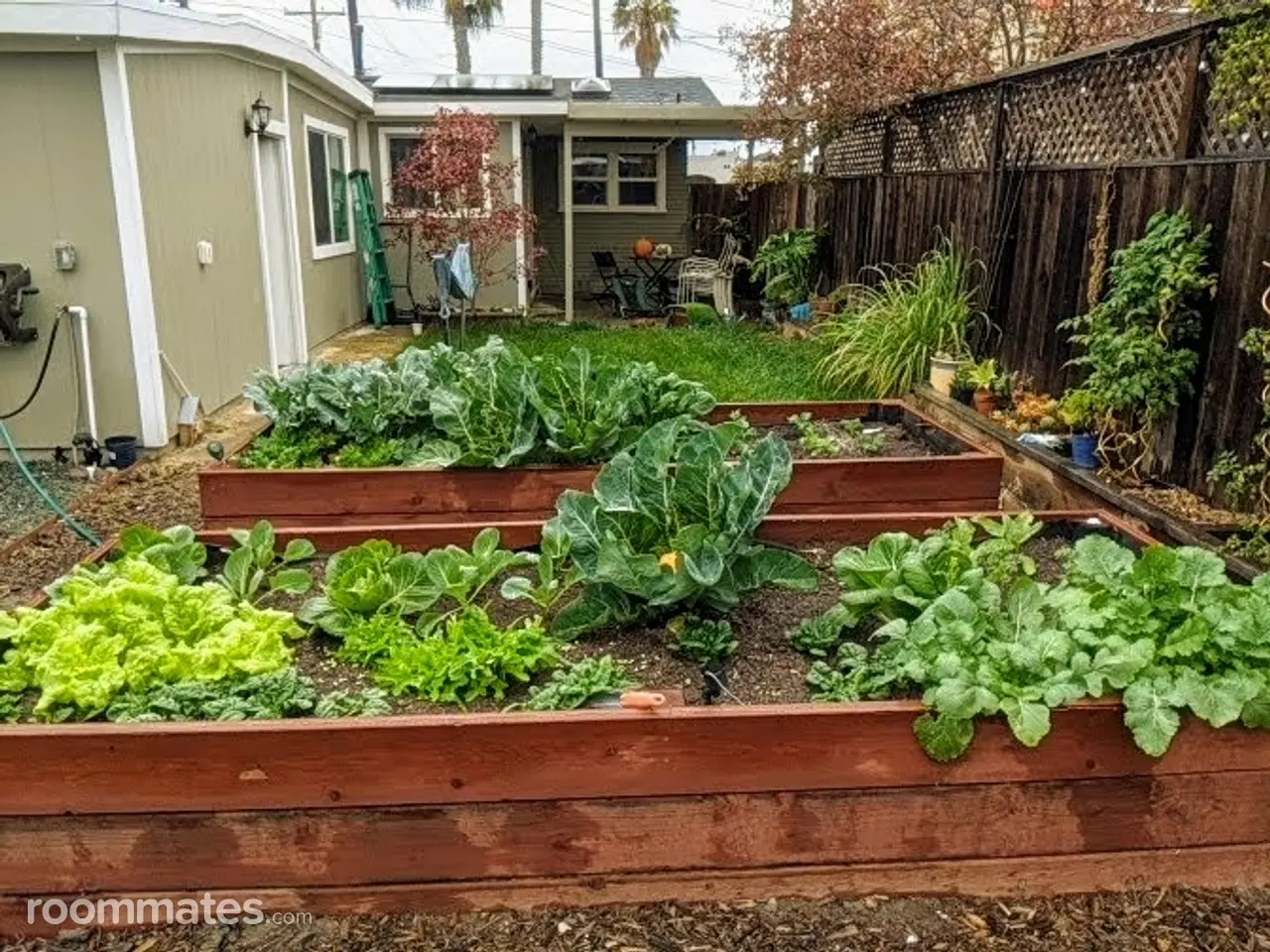 Profile photo 7 of 9