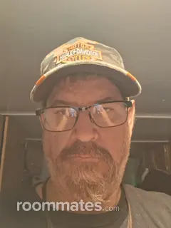 Roommate looking Phoenix, AZ, $800