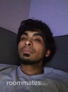 Roommate looking San Jose, CA, $1500