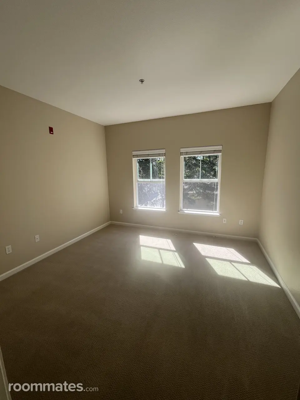 Profile photo 3 of 9