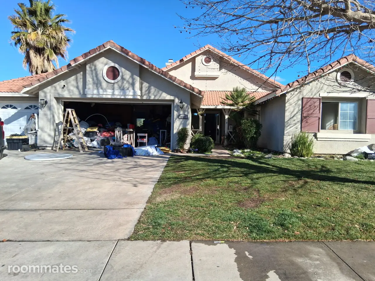 Profile photo 13 of 14