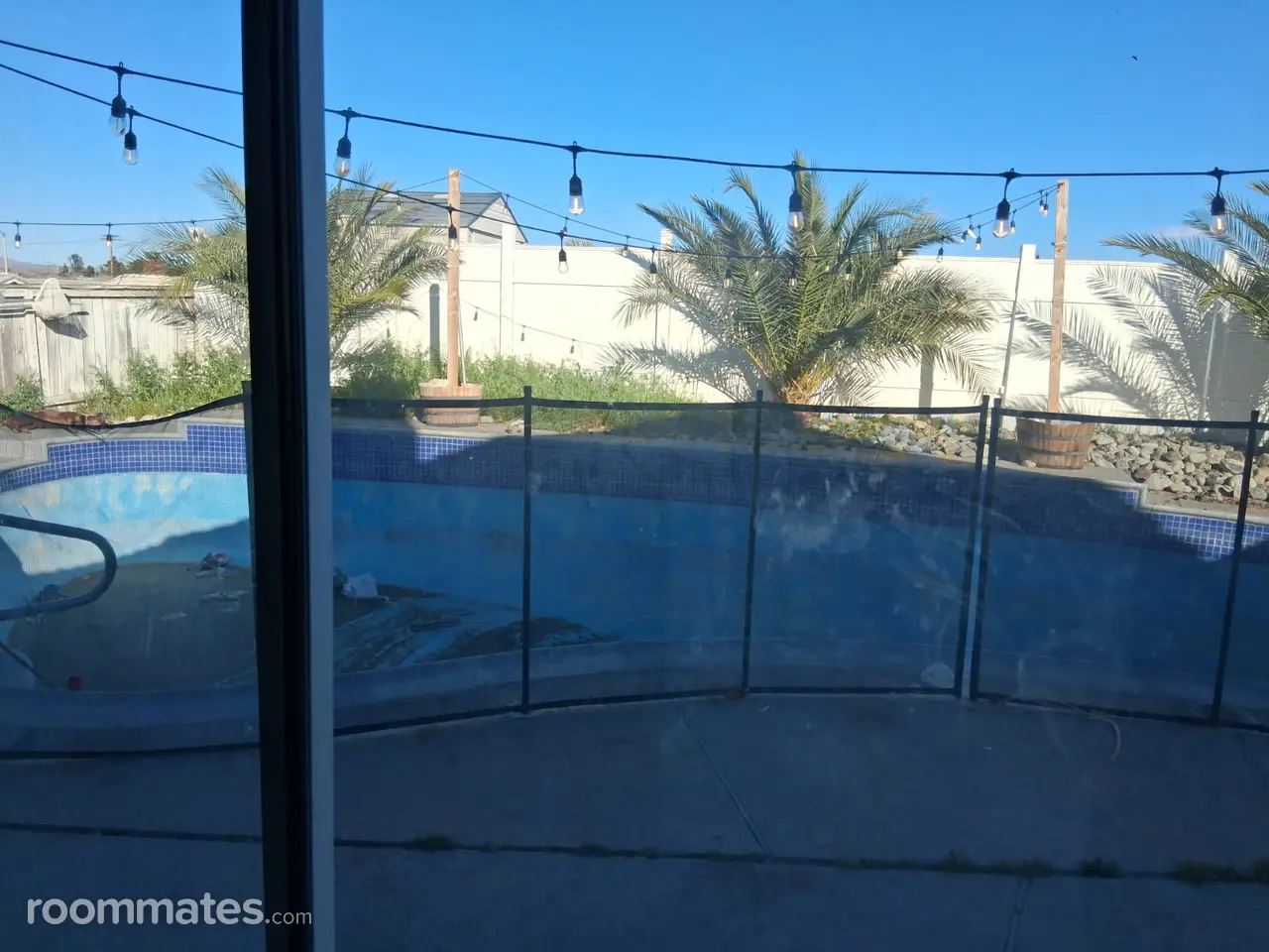 Profile photo 10 of 14