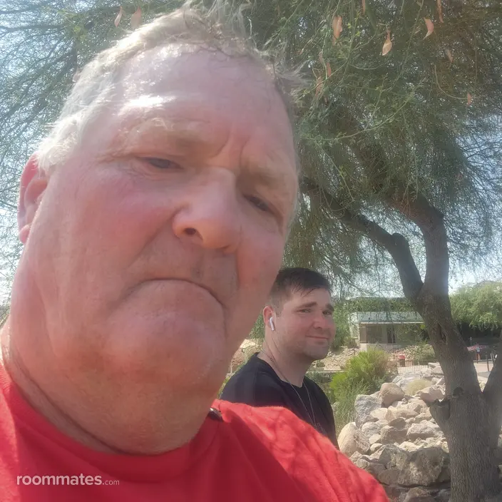 Roommate looking San Tan Valley, AZ, $800