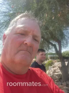 Roommate looking Gilbert, AZ, $900