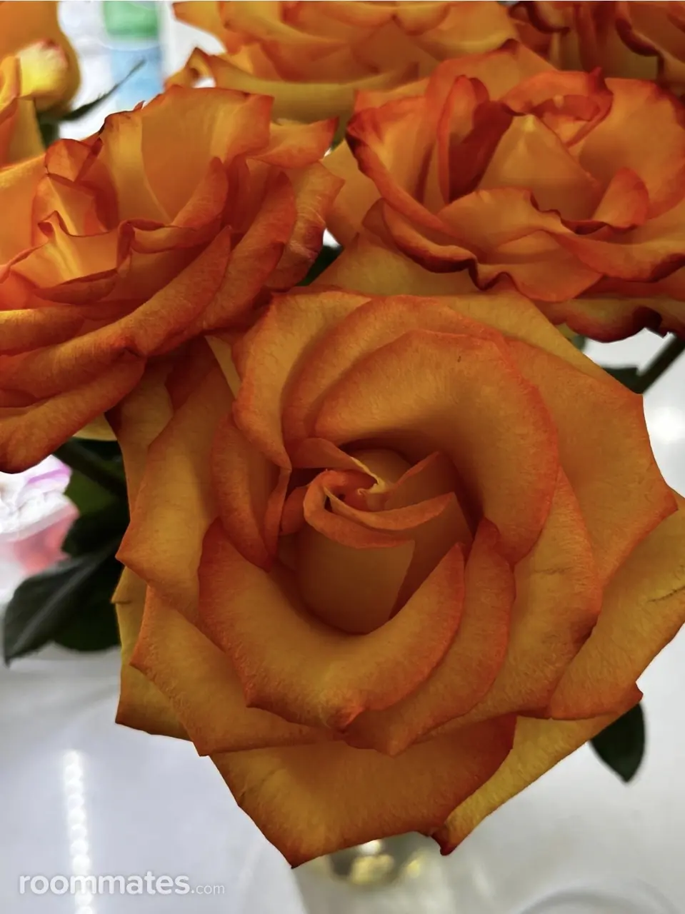 Profile photo 1 of 2