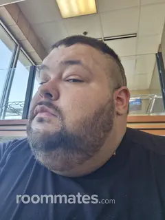 Roommate looking Madison, WI, $800