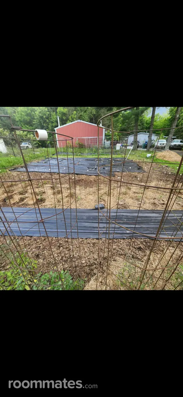 Profile photo 4 of 11