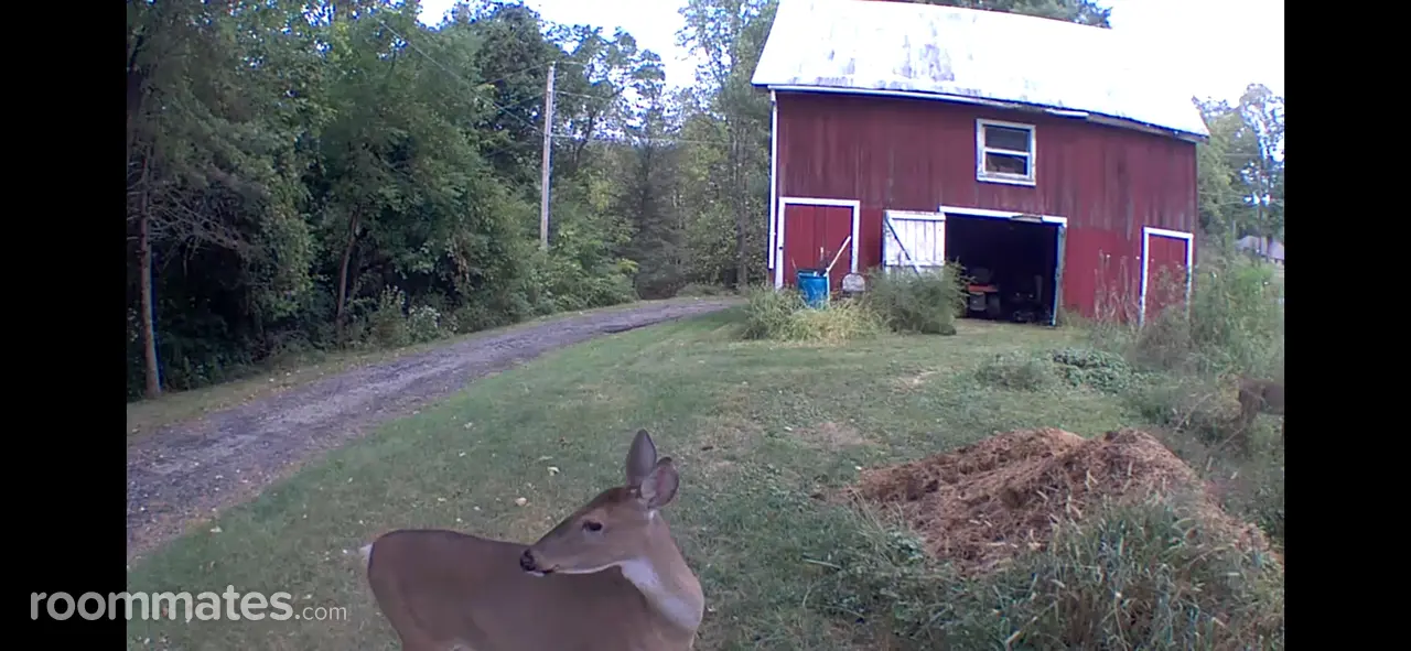 Profile photo 9 of 11