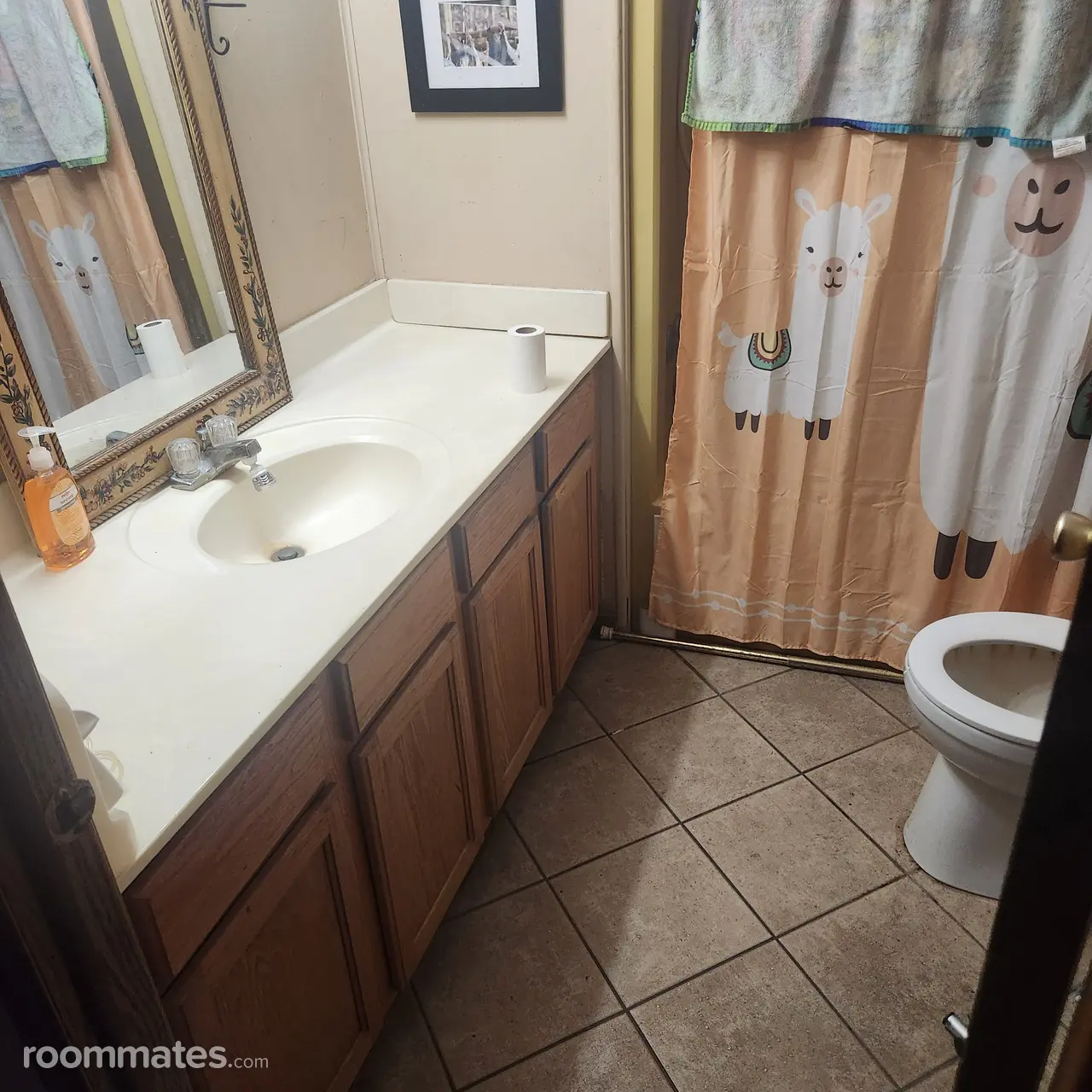 Profile photo 7 of 11