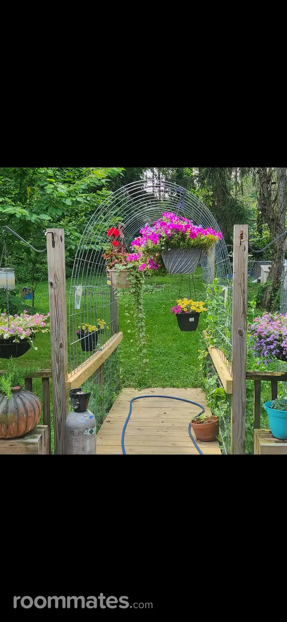 Profile photo 5 of 11