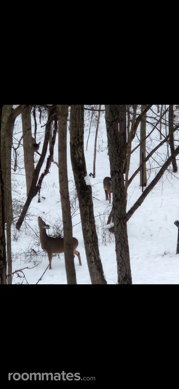 Profile photo 2 of 11