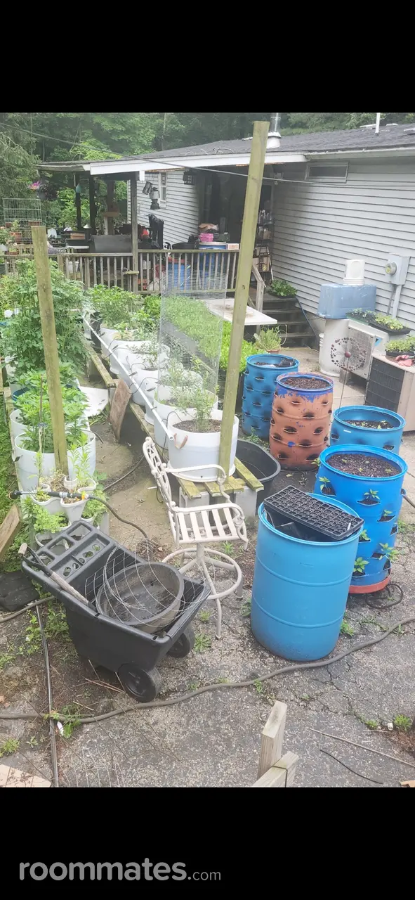 Profile photo 10 of 11