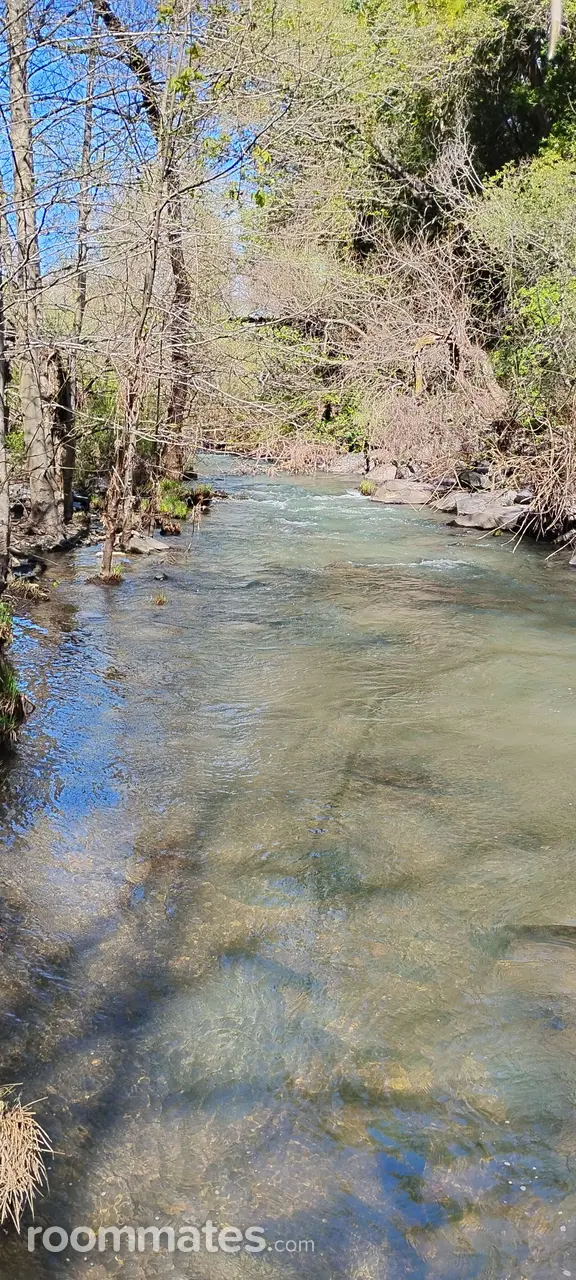 Profile photo 1 of 1