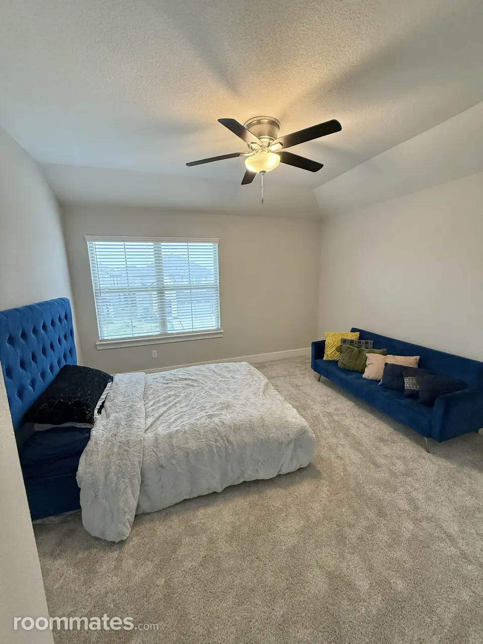 Profile photo 8 of 16