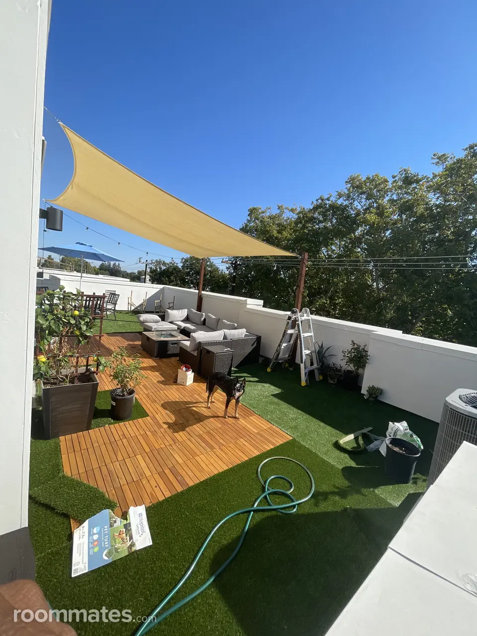 Profile photo 9 of 13