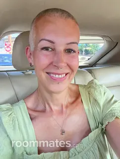 Roommate looking Black Mountain, NC, $1200