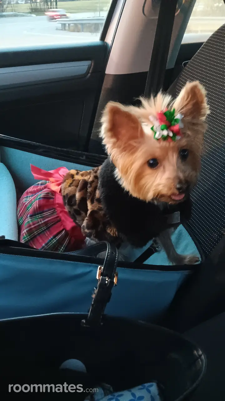 Profile photo 3 of 4