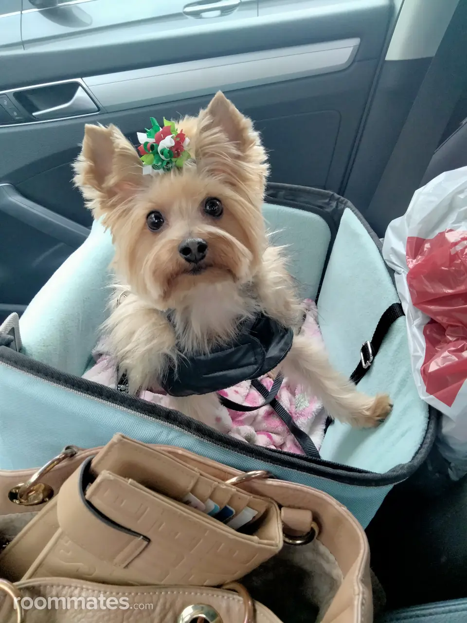 Profile photo 4 of 4