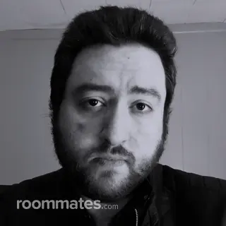 Roommate looking Reading, PA, $500