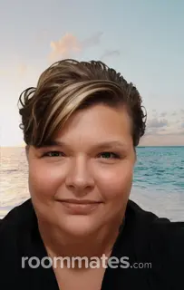 Roommate looking Norfolk, VA, $500