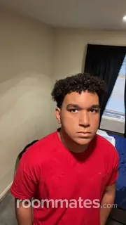 Roommate looking Farmers Branch TX, $800