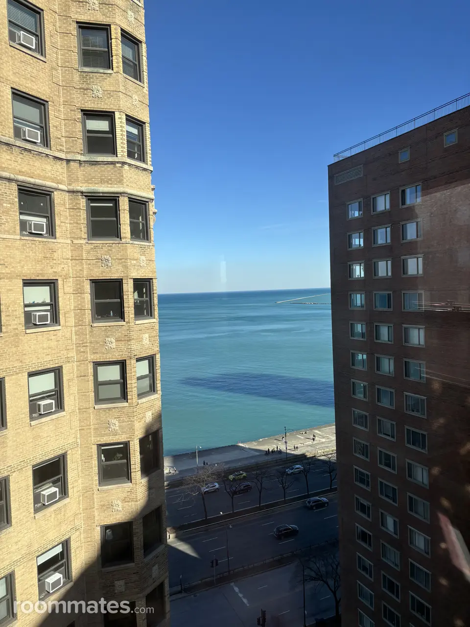 Profile photo 9 of 11