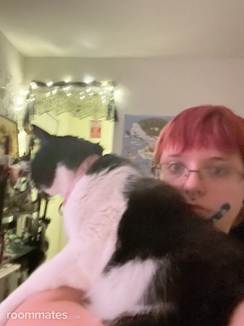 Profile photo 8 of 8