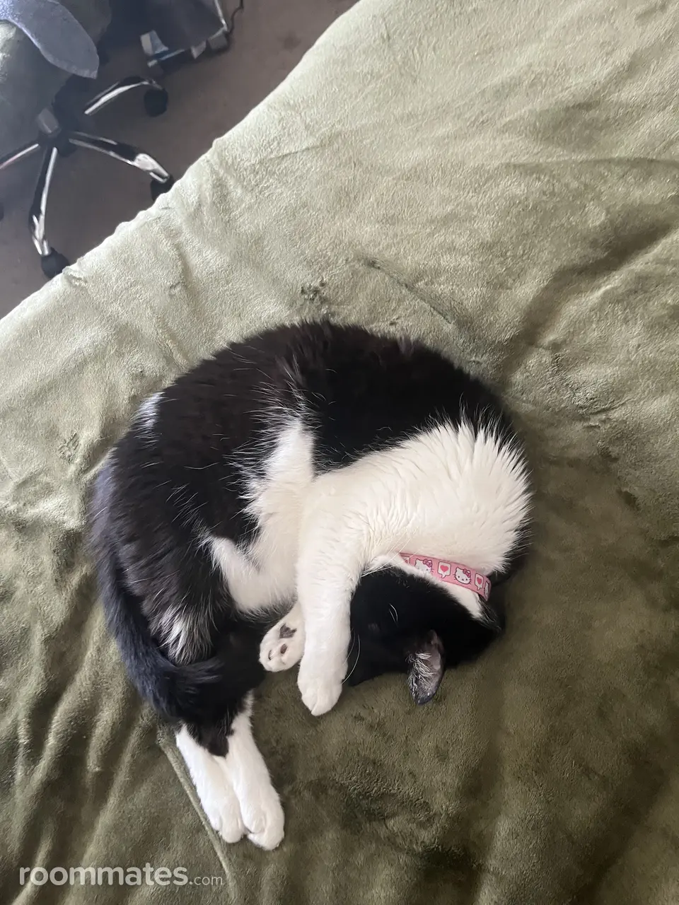 Profile photo 5 of 8