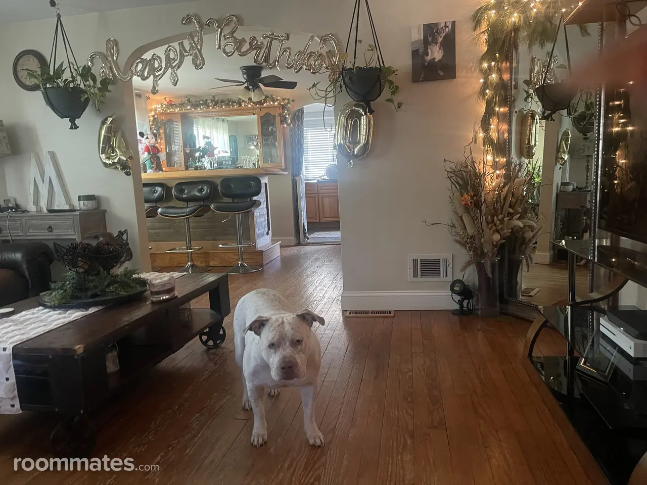 Profile photo 3 of 5