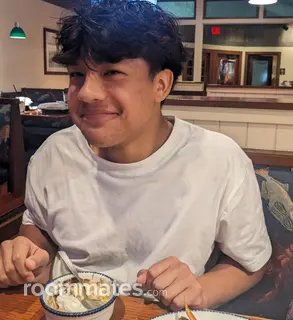 Roommate looking Green Bay, WI, $500