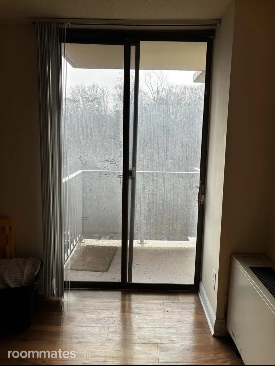 Profile photo 4 of 16