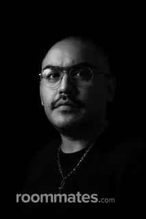 Roommate looking Conway, SC, $1000