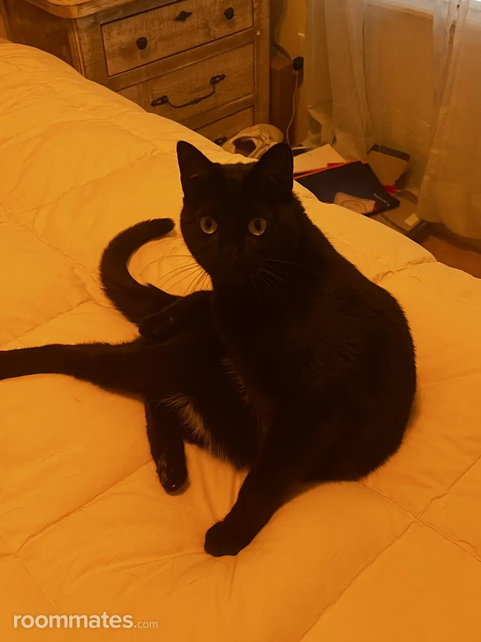 Profile photo 4 of 5