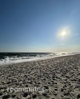 Roommate looking Philadelphia, PA, $1200