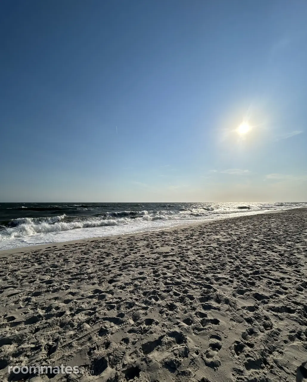 Profile photo 1 of 1