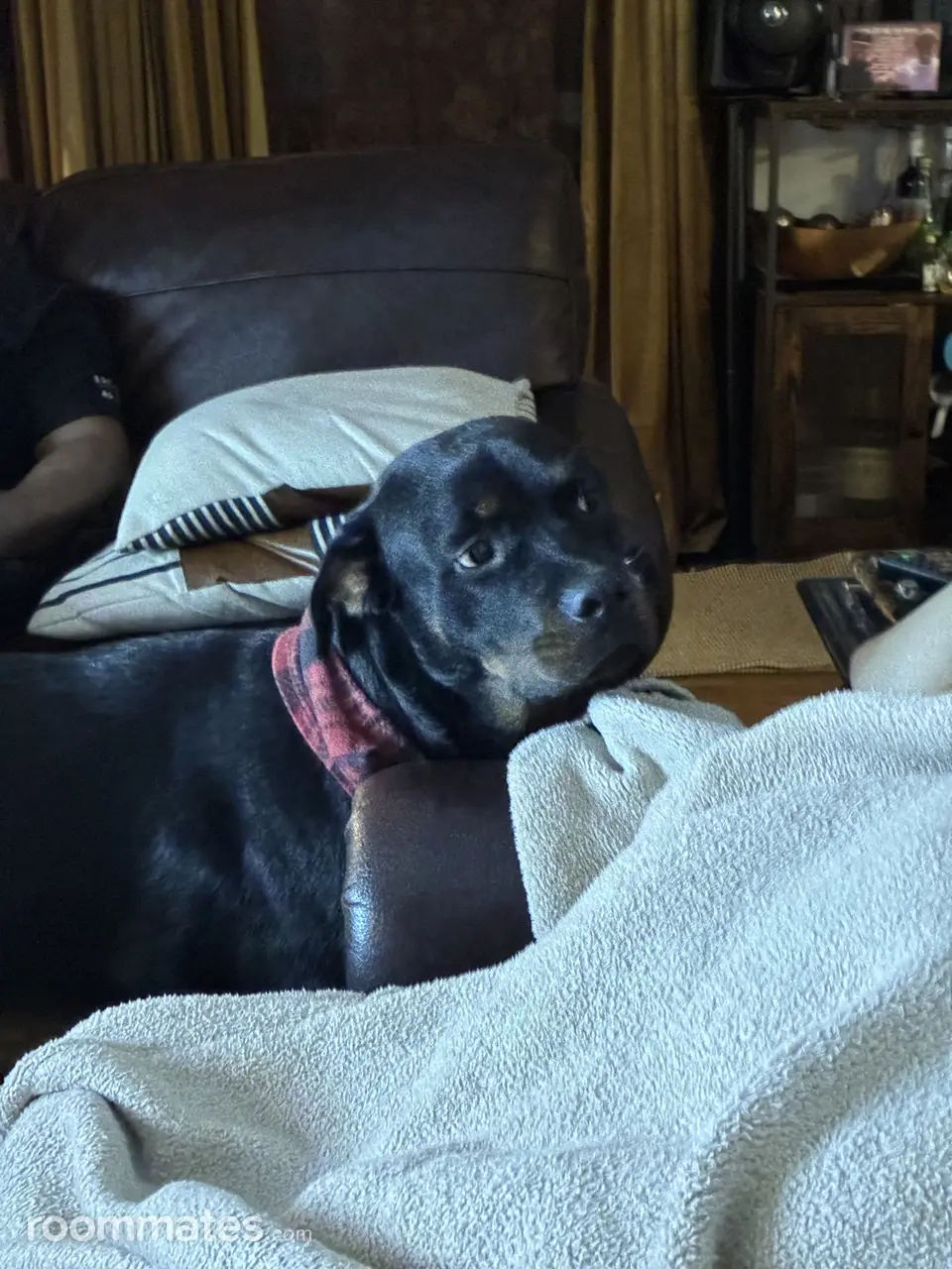 Profile photo 2 of 2