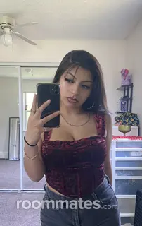 Roommate looking Lansing, MI, $500