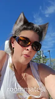 Roommate looking Ashby, MA, $700