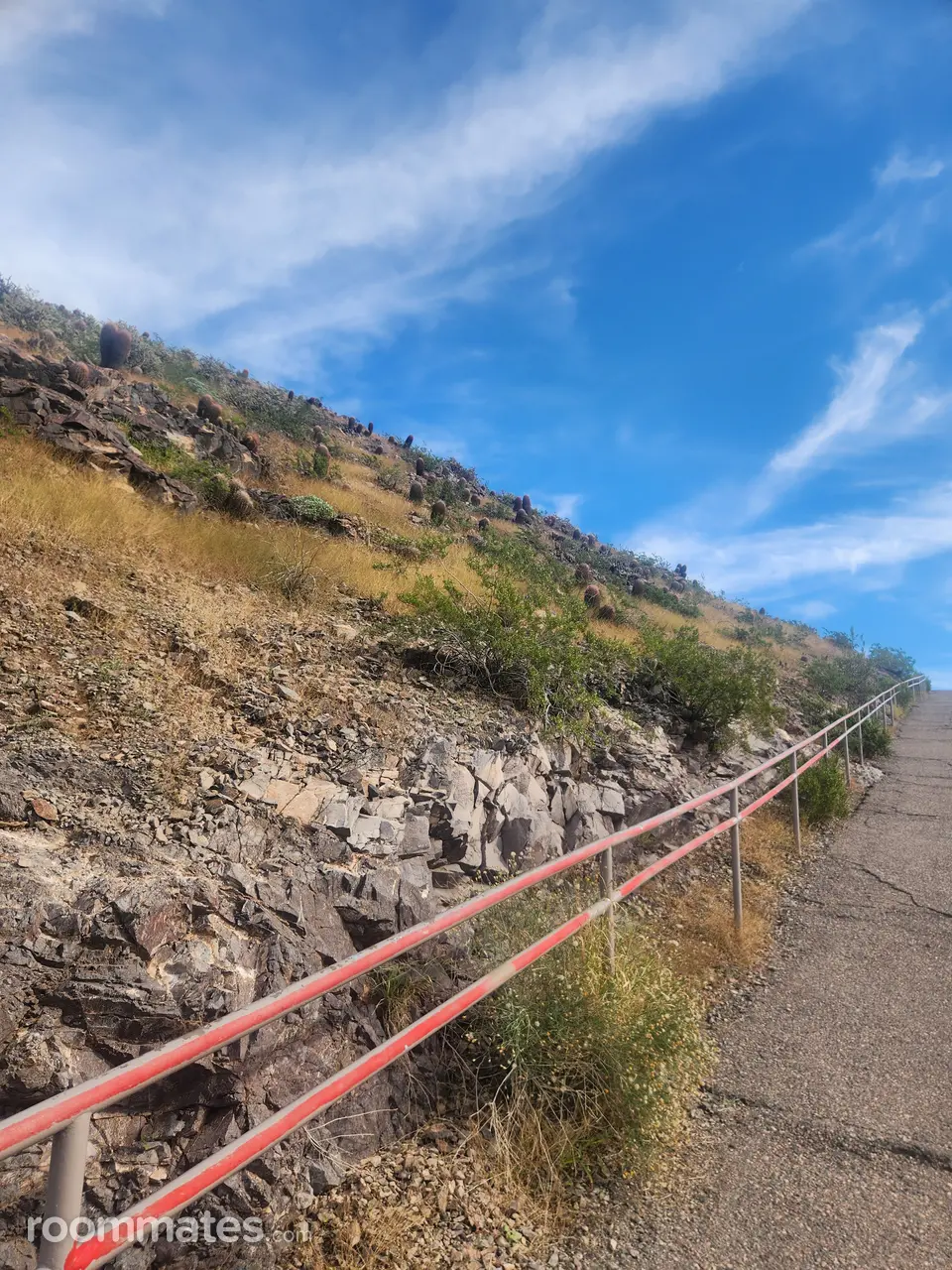 Profile photo 2 of 4